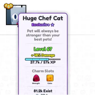 Huge Chef Cat