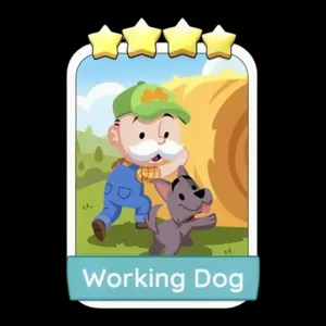 Working Dog