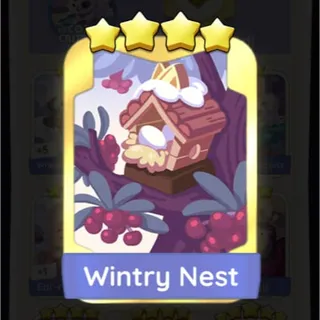 Wintry Nest