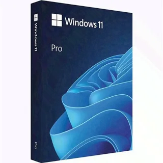 Windows 11 Professional Online Activation Key