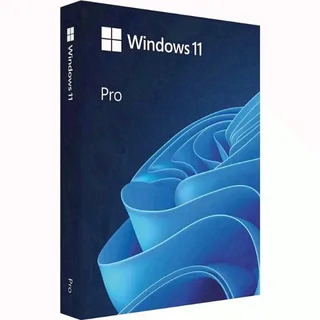 Windows 11 Professional OEM product Pro Key