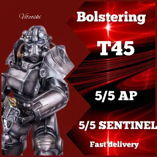 Bolstering SENTINEL AP T45 