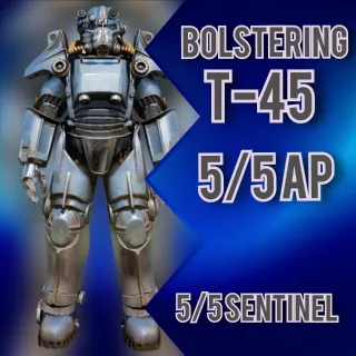 T45 Bolstering SENTINEL AP 