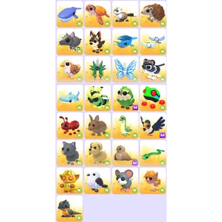 29x - N Pets all newborns