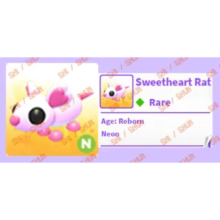 N Sweetheart Rat