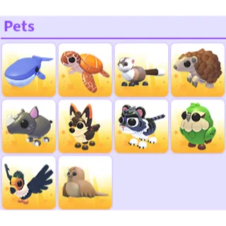 10x - PETS ENDANGERED EGG