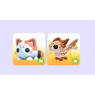 2x - N PETS Sugar Festival