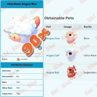 90x - Aberdeen Angus Box