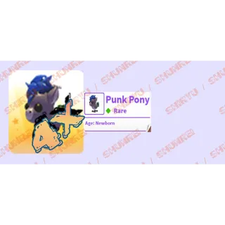 (4x) - Punk Pony - newborn