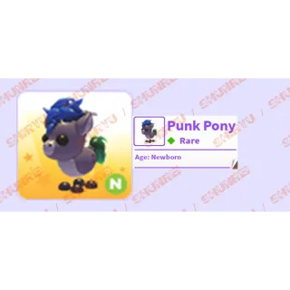 N Punk Pony - newborn