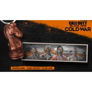 Call of Duty: Black Ops Cold War Zombified Bundle (Global Code/ Instant Delivery)
