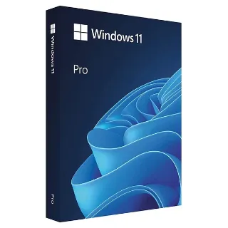 Windows 11 Professional