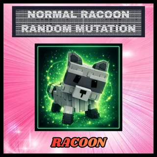 Racoon