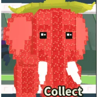 Strawberry Elephant Inde