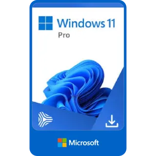 Windows 11 PRO