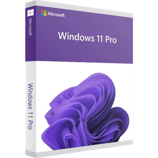 Windows 11 PRO