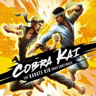 Cobra Kai: The Karate Kid Saga Continues