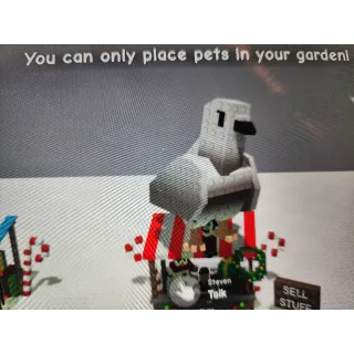 Huge turtle dove grow a garden 