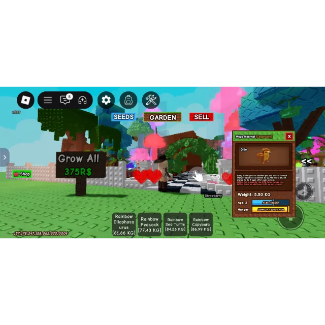 รายการภาพถ่าย