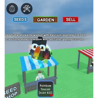 Rainbow toucan grow a garden 