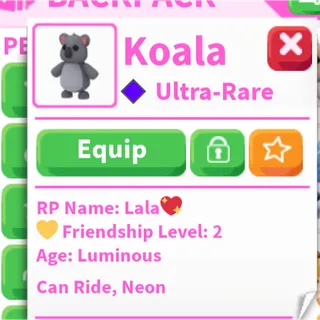 neon ride koala