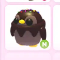 Pet