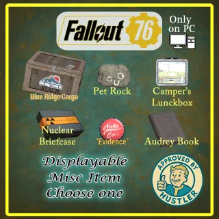 Collectable Misc Items Pick one