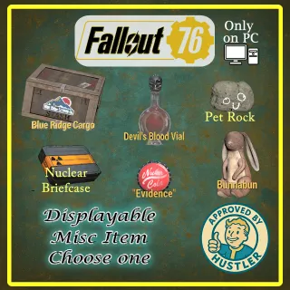 Collectable Misc Items 1 Pick one