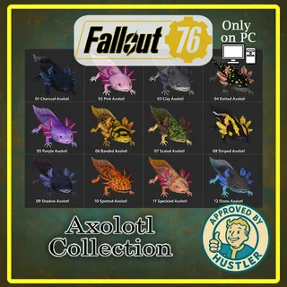 Axolotl Collection