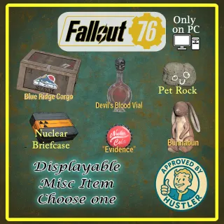 Collectable Misc Items 1 Pick one