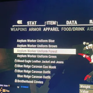 Asylum Dress Bundle