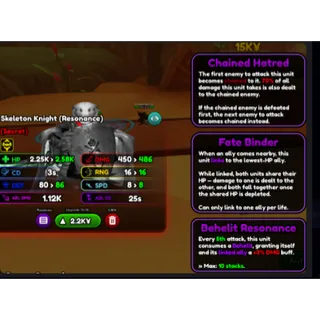 Anime Squadron Guarantee Skull Knight Raid grinding service