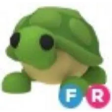 TURTLE FR - FAST DELIVERY - ADOPT ME
