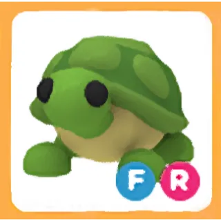 Turtle