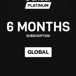 Tinder Platinum 6 months