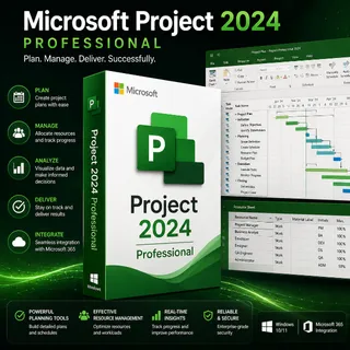 Microsoft Project 2024 Professional