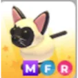 Siamese Cat MFR - Adopt Me! Fast Delivery, Instant Delivery