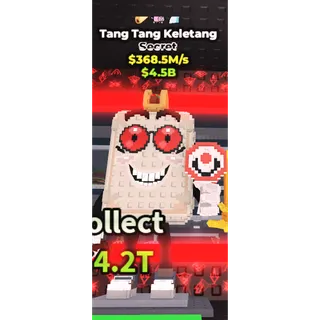 368M/S TANG TANG KELETANG