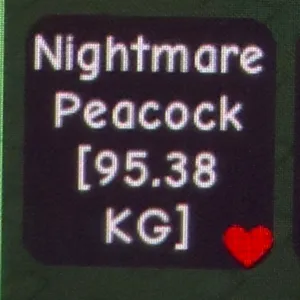 Nightmare Peacock 95kg