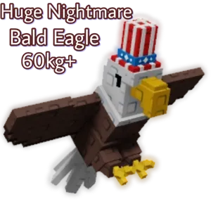 Bald Eagle 60kg+