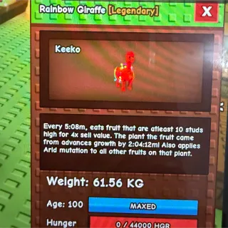 Rainbow hatch Giraffe 61kg