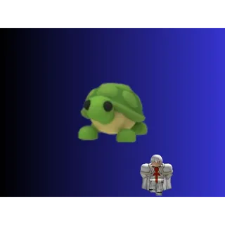 FR Turtle