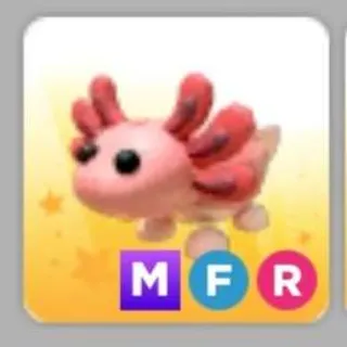 Pet | MFR Axolotl