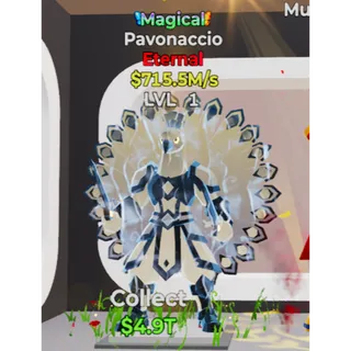 Magical Pavonaccio