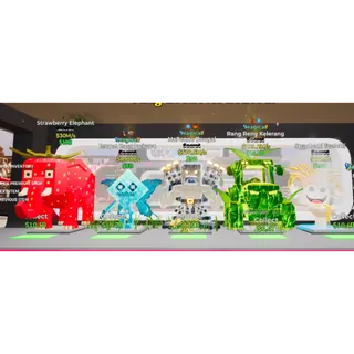 Bundle x5 