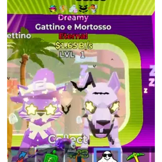 5T DREAMY GATTINO E MORTOSSO