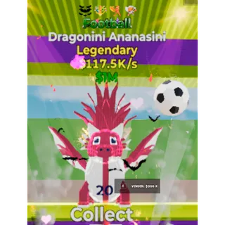 football Dragonini ananasini 