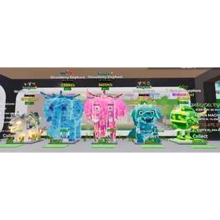 5x Bundle