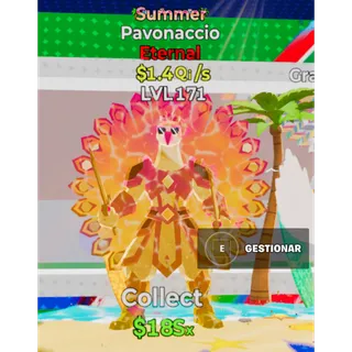 1.4 Qi Summer Pavonaccio