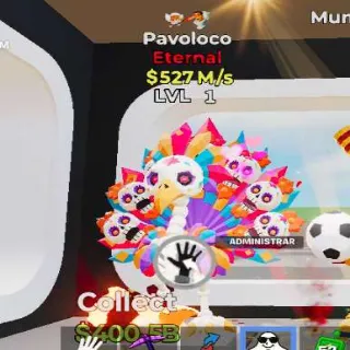 Pavoloco